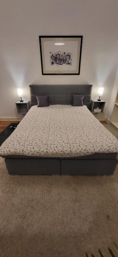 Freienwohnung 80Qm, 4 Personen Mit Kamin 平讷贝格 外观 照片